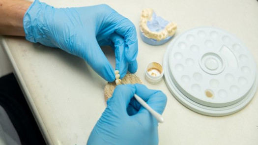 High-End Fixed Crown and Bridge Lab