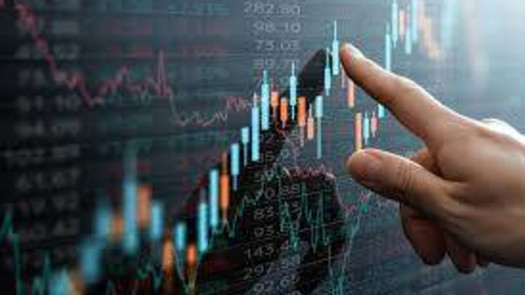 Stock Options Partner/Investor