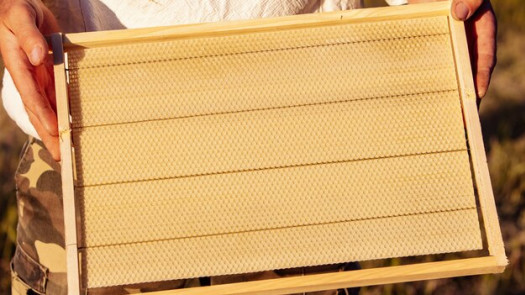 Top Quality Wooden Frame and Materials Supplier