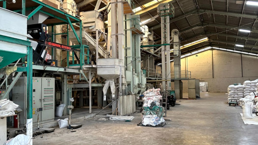 Rice Factory For Sale