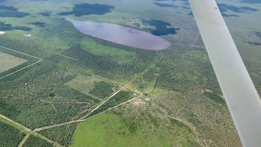 Livestock Farm in Alto Paraguay, Paraguay