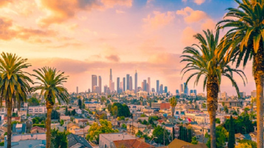 Chiropractic Practice for Sale in Los Angeles CA