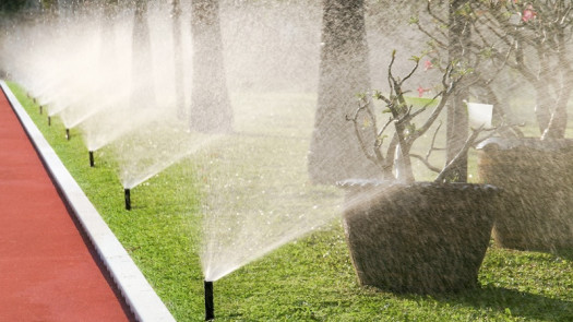 Home Based Irrigation Business in South Carolina