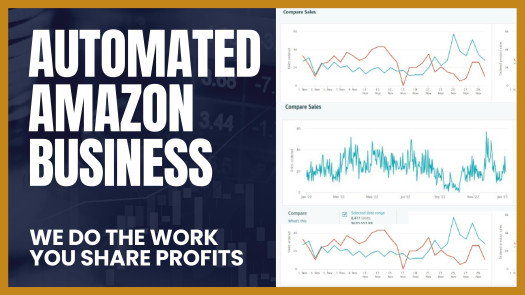 Passive Amazon Wholesale Store: We Do the Work