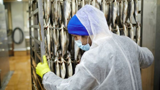 Seafood Processing and Distribution Company
