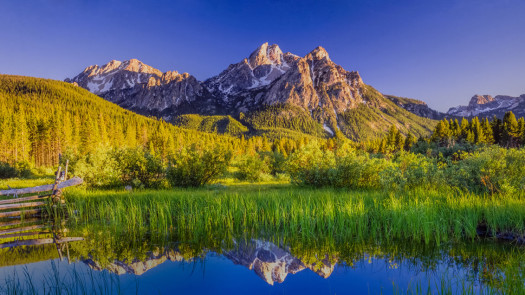 Optometry Practice For Sale