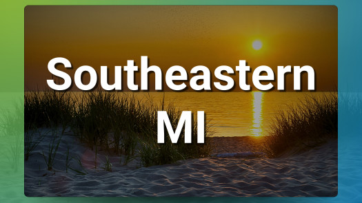 Southeastern MI Chiropractic Practice for Sale