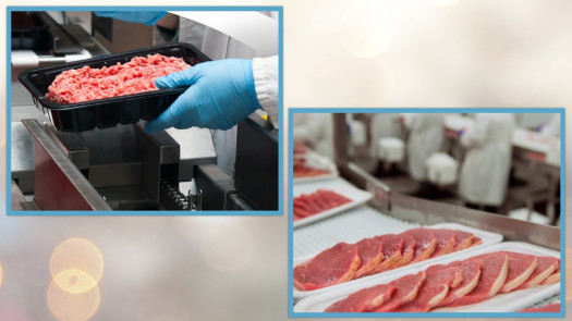 Expandable Biz: Quality Meats Processing