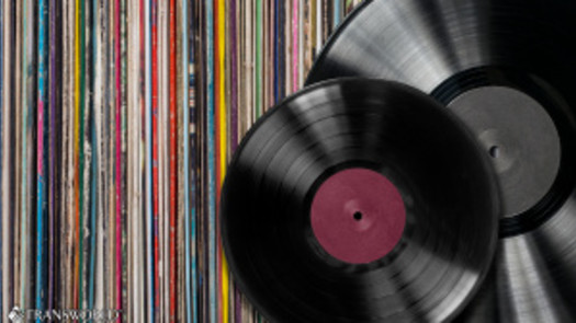Vinyl Record Business with $600,000 in Inventory