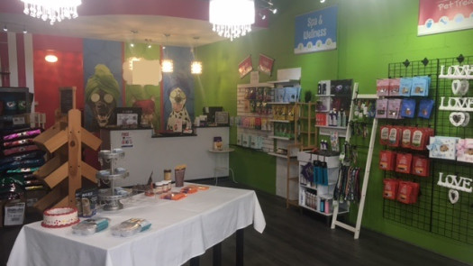 Dog Grooming Business for Sale in New York