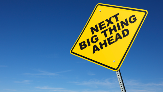 Seeking Someone to Raise For the Next Big Thing