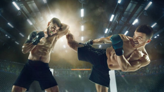 MMA League Hub Investment Opportunity