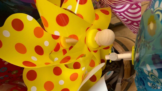 Profitable Specialty Toy Store