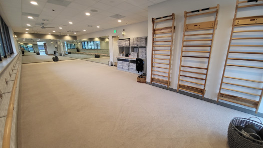 Growing Turnkey Suburban Barre Studio