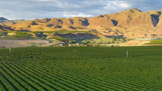 Successful Central Valley, CA Veterinary Practice