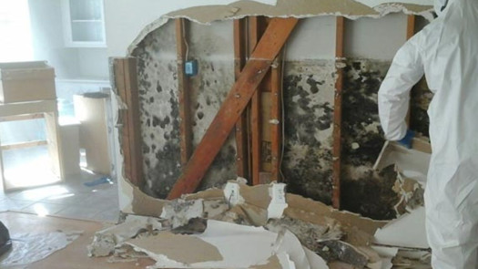 Restoration/Remediation Franchise $718K Adj EBITDA