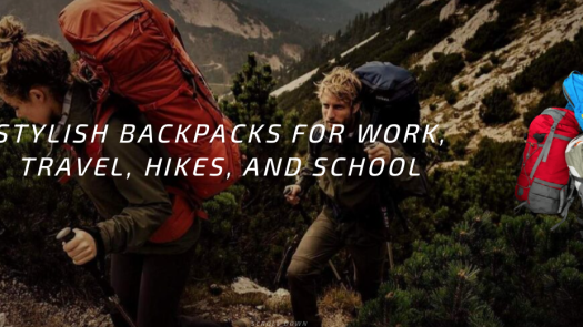 Backpack Ecommerce Website 14k Profit in 5 Months