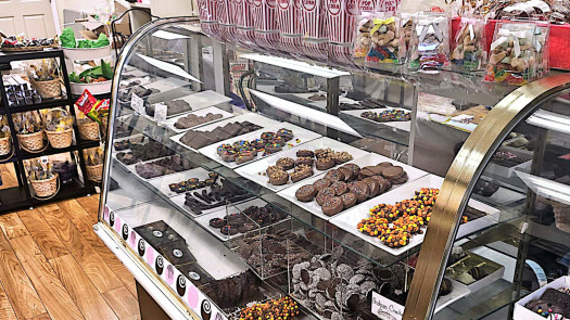 Chocolate Candy Shop for Sale in New York