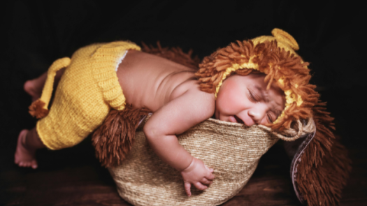 Baby Hat Company / No Tariff Issues / 2 Brands