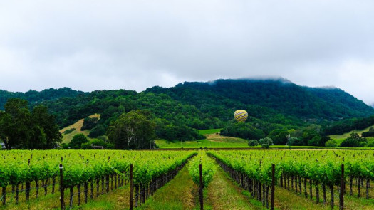 Santa Rosa, CA Chiropractic Practice For Sale