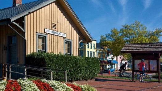 Herndon VA Chiropractic Practice For Sale