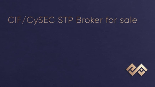 Cyprus CIF STP Company For Sale