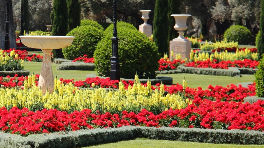 Established Landscaping Company for Sale in NJ