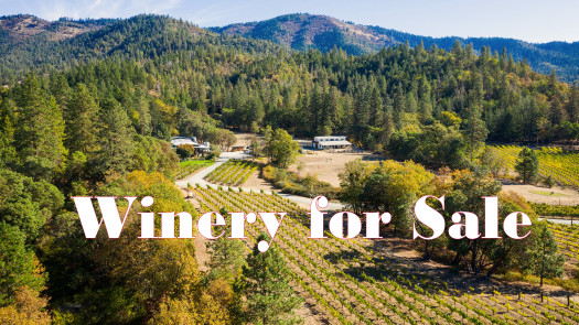 Vineyard, Winery, Creamery, Vacation Rentals