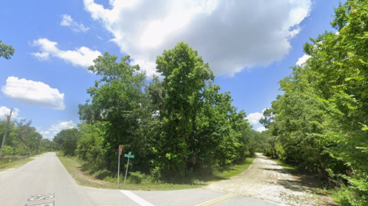 Over Acre in Ridge Manor Florida