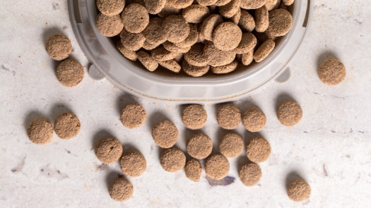 10-Year-Old Top Aquafeed Producers with EU Customers