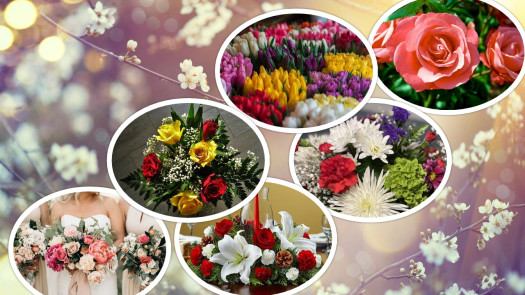 Florist Near NYC Metro Boasts SDE of 25%+