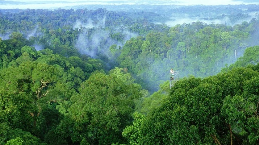 Start Up Of A Carbon Credit Trading Company