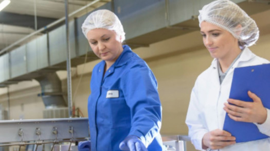 Southern Sask Based Food Manufacturing Business for sale