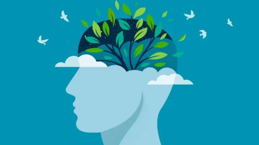 Mental Health Counseling Practice $2.7M Revenue