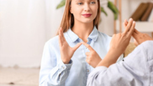 Established and Profitable ASL Interpretation Serv