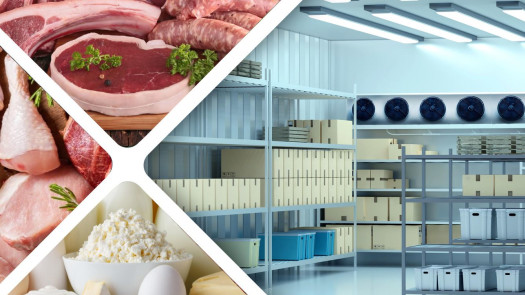 Established Wholesale Distribution & Cold Storage Business
