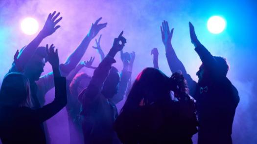 Own a Premium Adult Entertainment Night Club