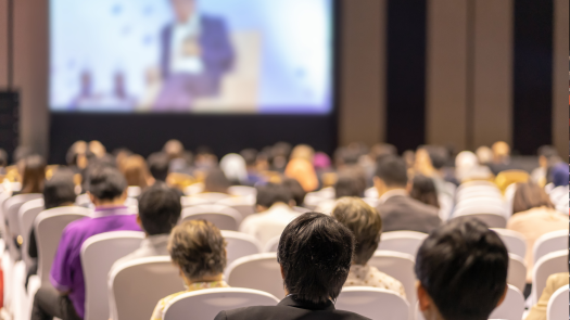 Consulting Firm with Built-In Funding Source