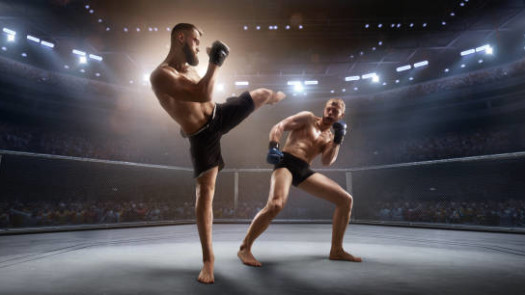 MMA Exclusive Territory Rights Investment