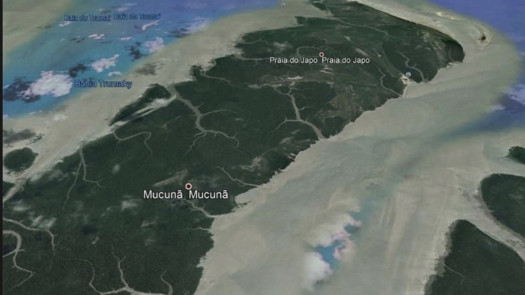 Island w/Gold Potential Brazil