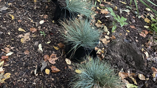 Agricultural Firm for Sale