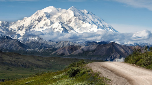 Chicago HHA License for Sale