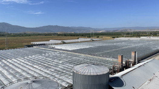Greenhouse Complex in Bulgaria