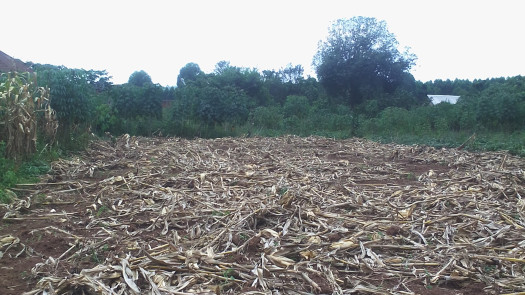 Land For Sale In Mukono Mpoma