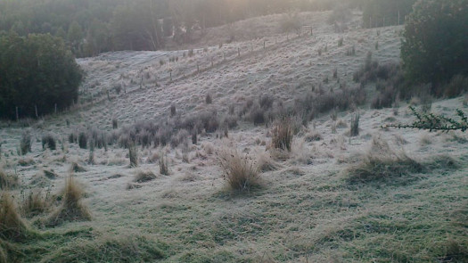 We Have Land Available In Chile, South America