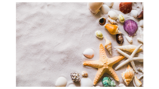 Luxurious Management Rights Hotel Resort for Sale