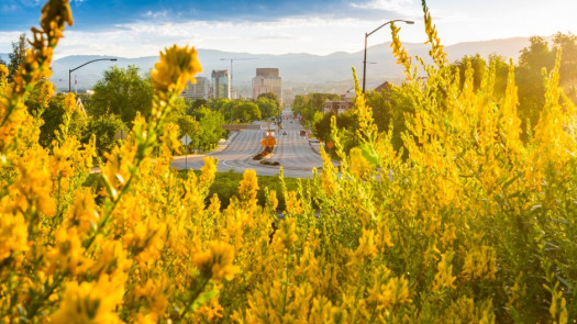 Thriving Western Idaho Dental Practice