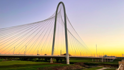 Small Animal Vet Practice–Prime Dallas Location