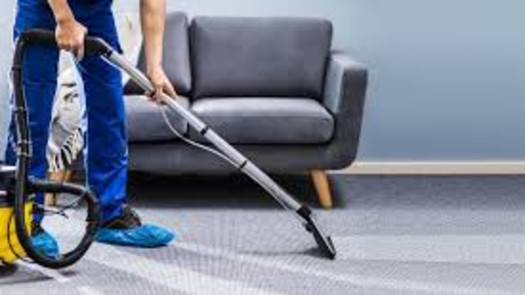 Owner Absentee: Carpet & Other Cleaning Services