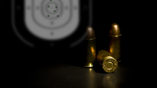 Specialty Gun & Ammunition Store for Sale in PA